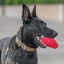 USA-K9 Grenade Durable Rubber Chew Toy & Treat Dispenser - Your Pet Connection
