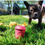 Coffee Cup Durable Rubber Chew Toy and Treat Dispenser - Your Pet Connection