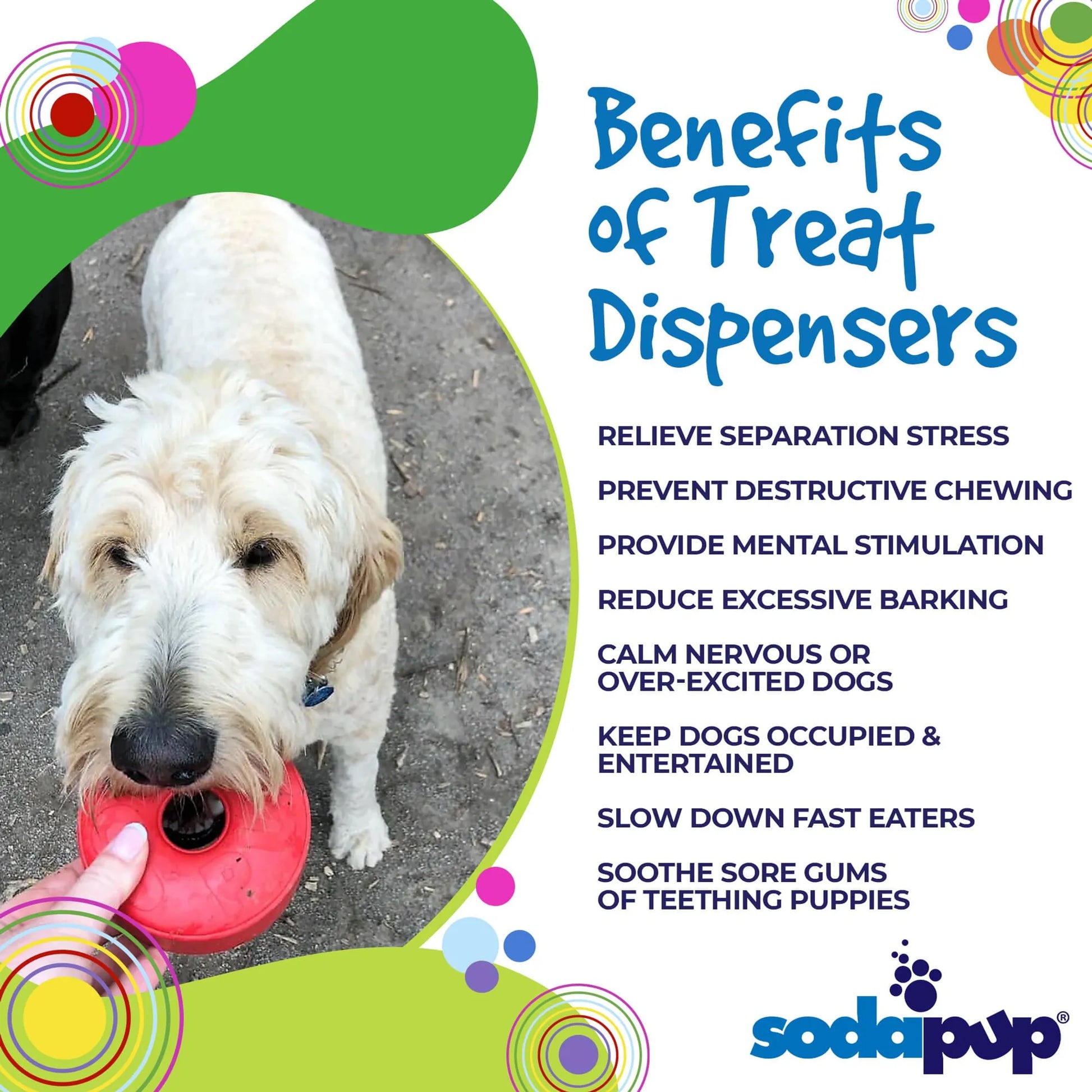 SP Life Ring Durable Rubber Chew Toy & Treat Dispenser - Your Pet Connection