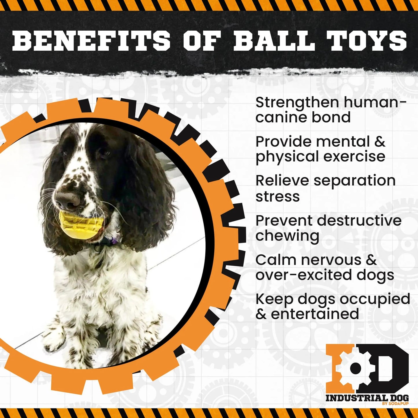 ID Ball - Ultra-Durable Rubber Chew Ball - Your Pet Connection