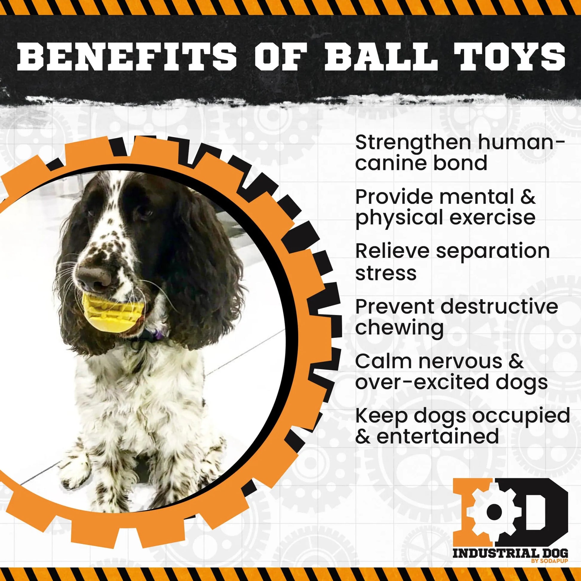 ID Ball - Ultra-Durable Rubber Chew Ball - Your Pet Connection