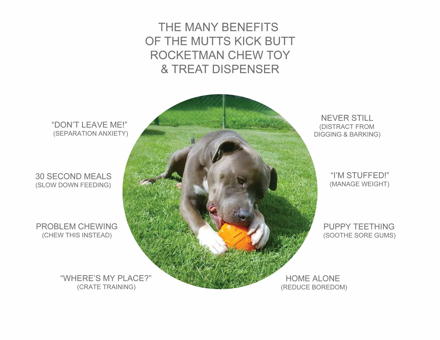 SN Rocketman Durable Rubber Treat Dispenser & Chew Toy - Your Pet Connection
