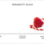 MKB Heart on a String Ultra-Durable Durable Rubber Chew Toy, Reward Toy, Tug Toy, and Retrieving Toy - Your Pet Connection