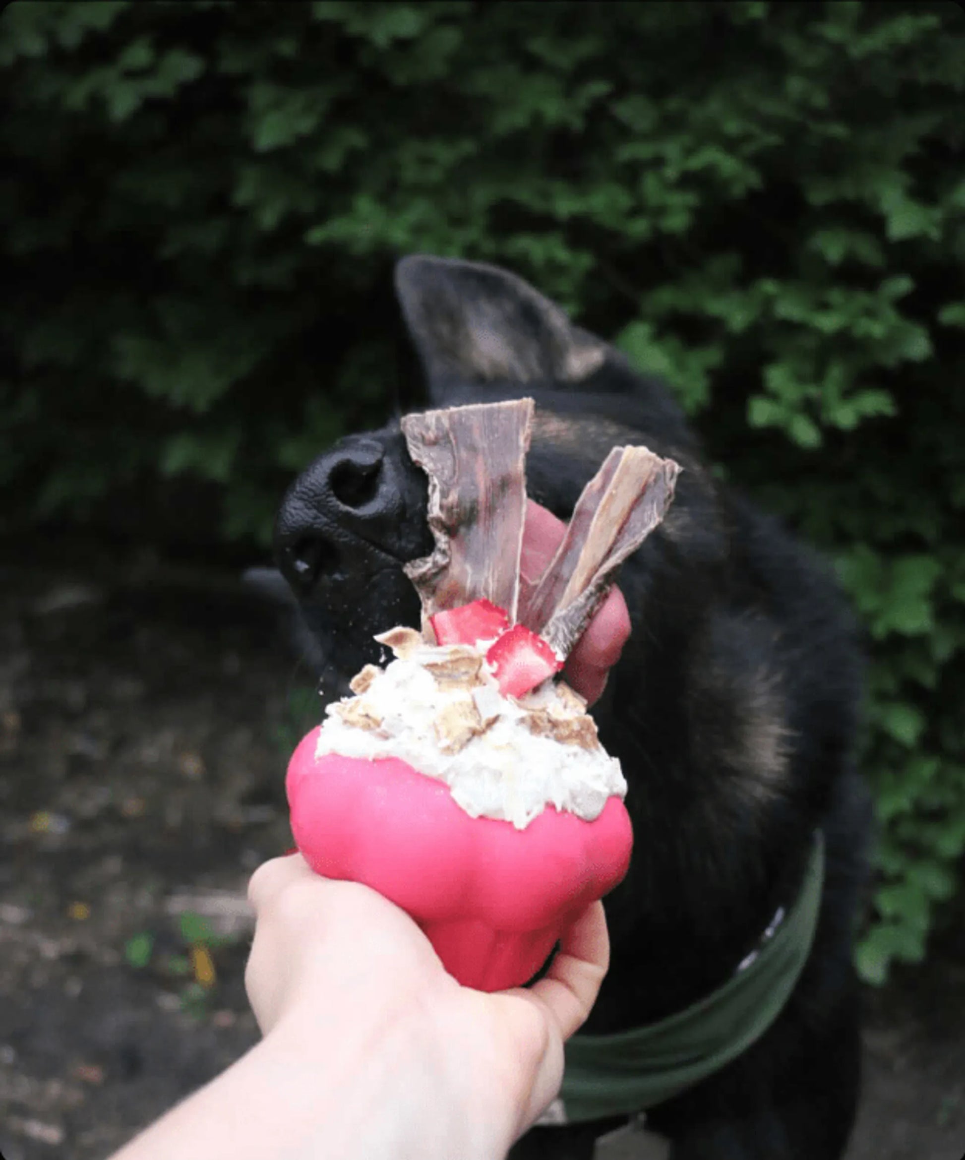 Cupcake Durable Rubber Chew Toy & Treat Dispenser - Your Pet Connection