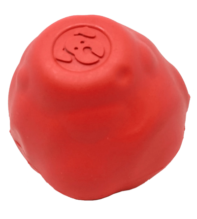 SN Asteroid Ultra Durable Rubber Chew Toy - Your Pet Connection
