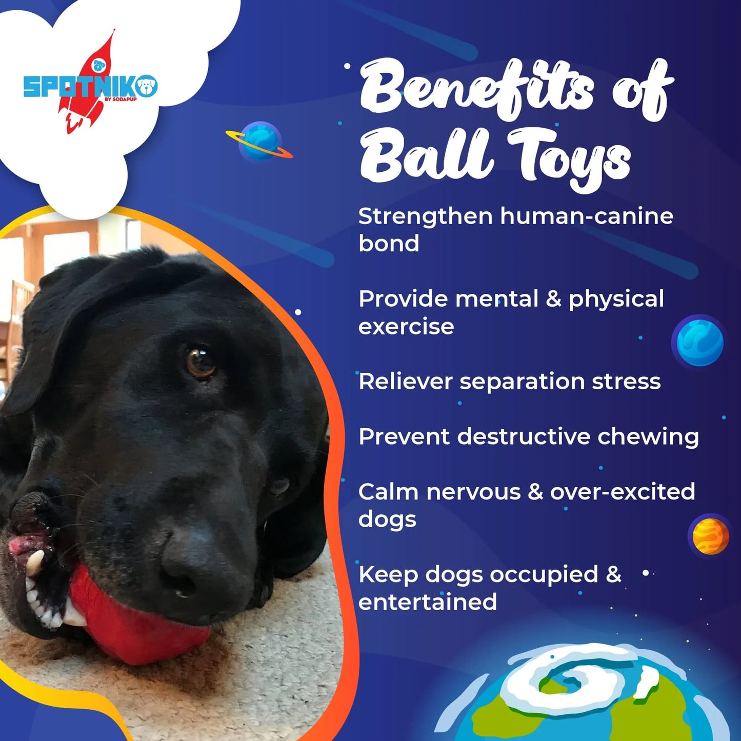 SN Asteroid Ultra Durable Rubber Chew Toy - Your Pet Connection