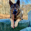 USA-K9 Skull Durable Rubber Chew Toy, Treat Dispenser, Reward Toy, Tug Toy, and Retrieving Toy - Your Pet Connection