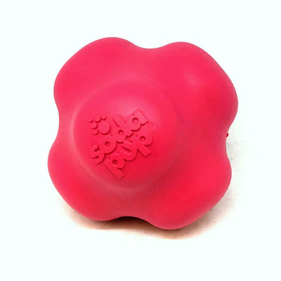 SP Crazy Bounce Ultra Durable Rubber Chew & Retrieving Toy - Your Pet Connection