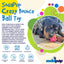 SP Crazy Bounce Ultra Durable Rubber Chew & Retrieving Toy - Your Pet Connection