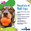 SP Crazy Bounce Ultra Durable Rubber Chew & Retrieving Toy - Your Pet Connection