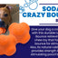SP Crazy Bounce Ultra Durable Rubber Chew & Retrieving Toy - Your Pet Connection