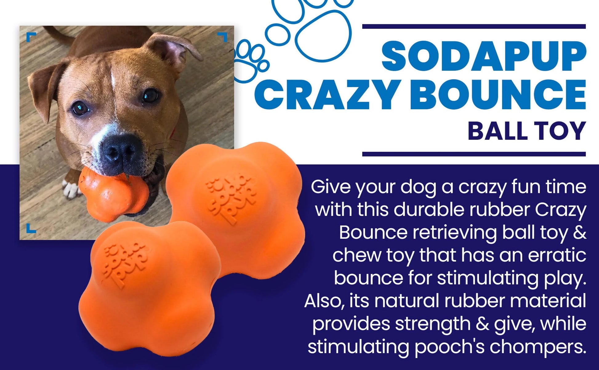 SP Crazy Bounce Ultra Durable Rubber Chew & Retrieving Toy - Your Pet Connection