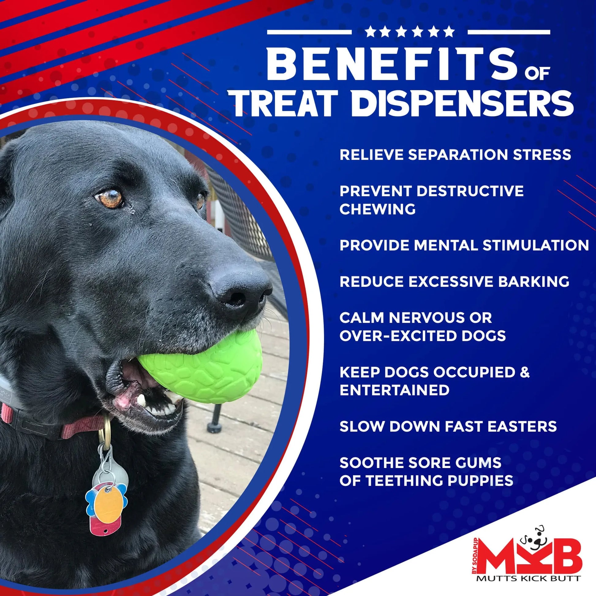 MKB Dinosaur Egg Durable Rubber Chew Toy & Treat Dispenser - Your Pet Connection