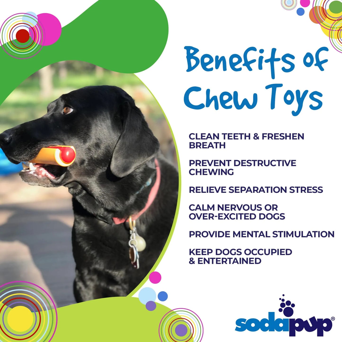 SodaPup Durable Dog Chew Toy for Aggressive Chewers
