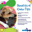 SP Gingerbread Man Ultra Durable Nylon Dog Chew Toy for Aggressive Chewers - Your Pet Connection