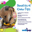 SP Corn on the Cob Ultra Durable Nylon Dog Chew Toy for Aggressive Chewers - Your Pet Connection