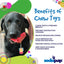 SP Cherry Pie Ultra Durable Nylon Dog Chew Toy and Treat Holder for Aggressive Chewers - Your Pet Connection