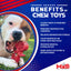 MKB Key to My Heart Ultra Durable Nylon Dog Chew Toy for Aggressive Chewers - Your Pet Connection