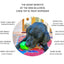 MKB Bull Frog Durable Rubber Chew Toy & Treat Dispenser - Your Pet Connection