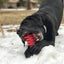 MKB Christmas Tree Ultra Durable Nylon Dog Chew Toy for Aggressive Chewers - Your Pet Connection