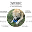 SN Flying Saucer Durable Rubber Chew Toy & Treat Dispenser - Your Pet Connection