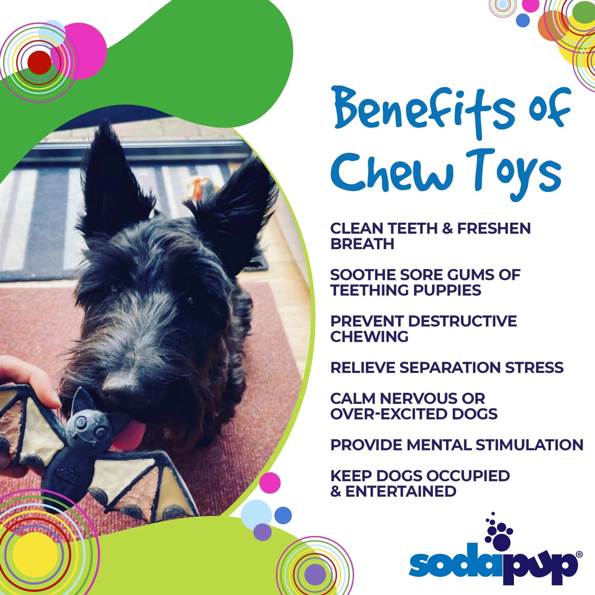 SodaPup Vampire Bat Ultra Durable Nylon Dog Chew Toy for Aggressive Chewers - Your Pet Connection