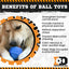 ID Cap Nut Ultra-Durable Rubber Chew Toy and Treat Dispenser - Your Pet Connection