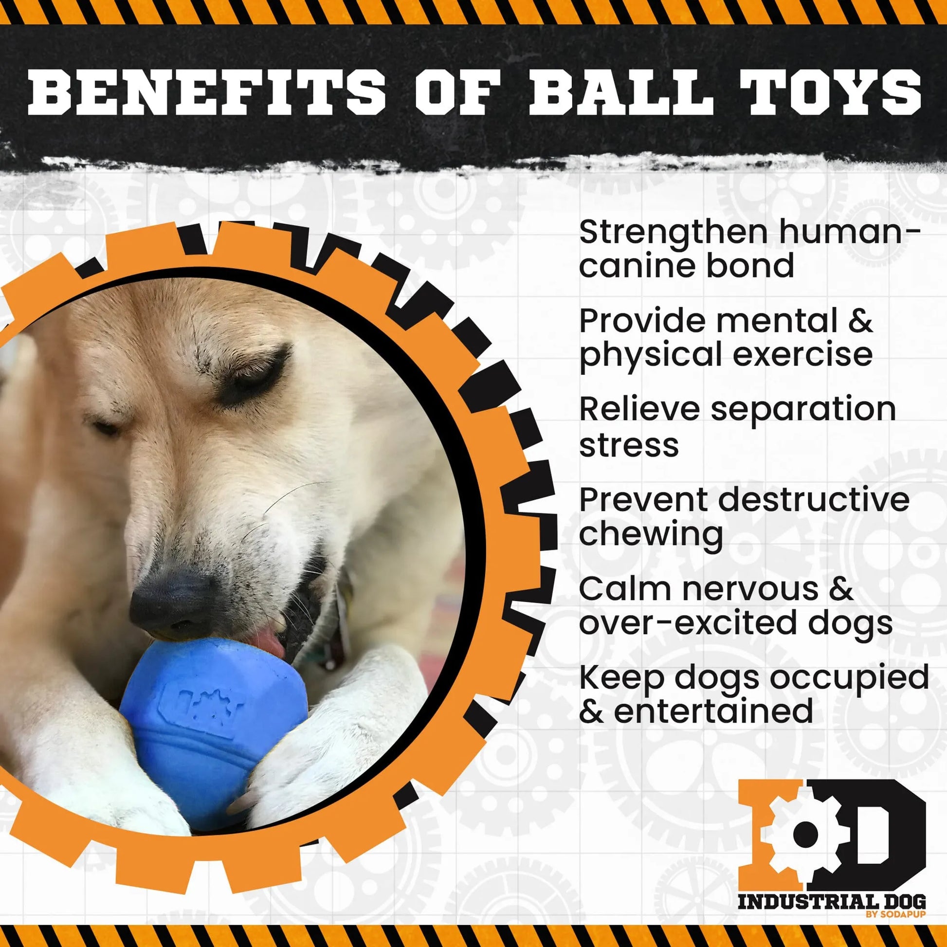 ID Cap Nut Ultra-Durable Rubber Chew Toy and Treat Dispenser - Your Pet Connection