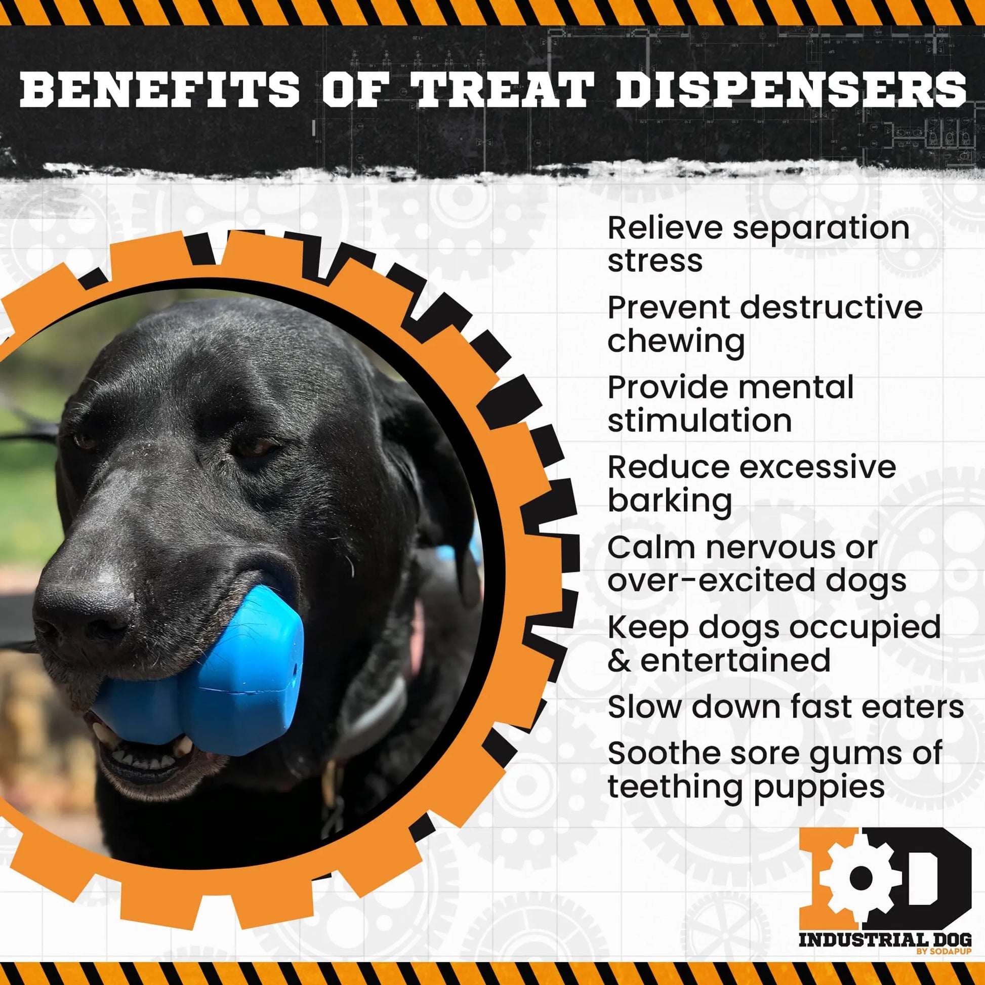 ID Double Trouble Durable Rubber Chew Toy and Treat Dispenser - Your Pet Connection