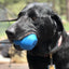 ID Double Trouble Durable Rubber Chew Toy and Treat Dispenser - Your Pet Connection