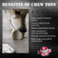 Durable Nylon Star Dog Chew Toy and Enrichment Toy for Aggressive Chewers - Your Pet Connection