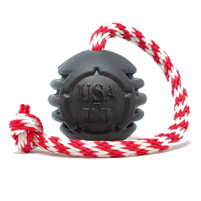 SodaPup Power Chewer Reward Ball 3-Inch