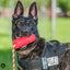 USA-K9 Firecracker Durable Rubber Floating Training Dummy - Your Pet Connection