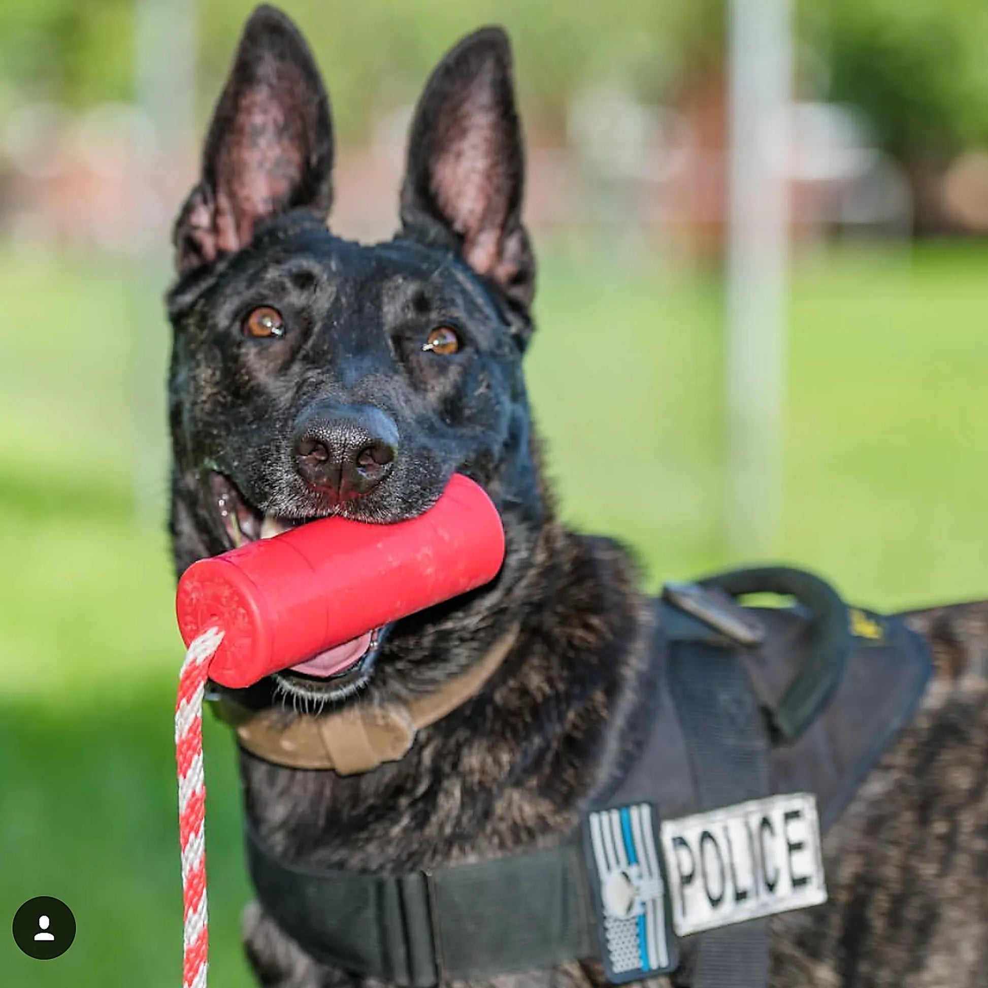 USA-K9 Firecracker Durable Rubber Floating Training Dummy - Your Pet Connection