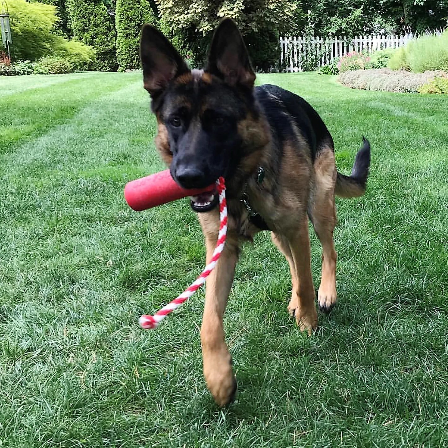 USA-K9 Firecracker Durable Rubber Floating Training Dummy - Your Pet Connection
