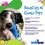 Durable Nylon Bunny Chew Toy and Enrichment Toy for Aggressive Chewers - Your Pet Connection