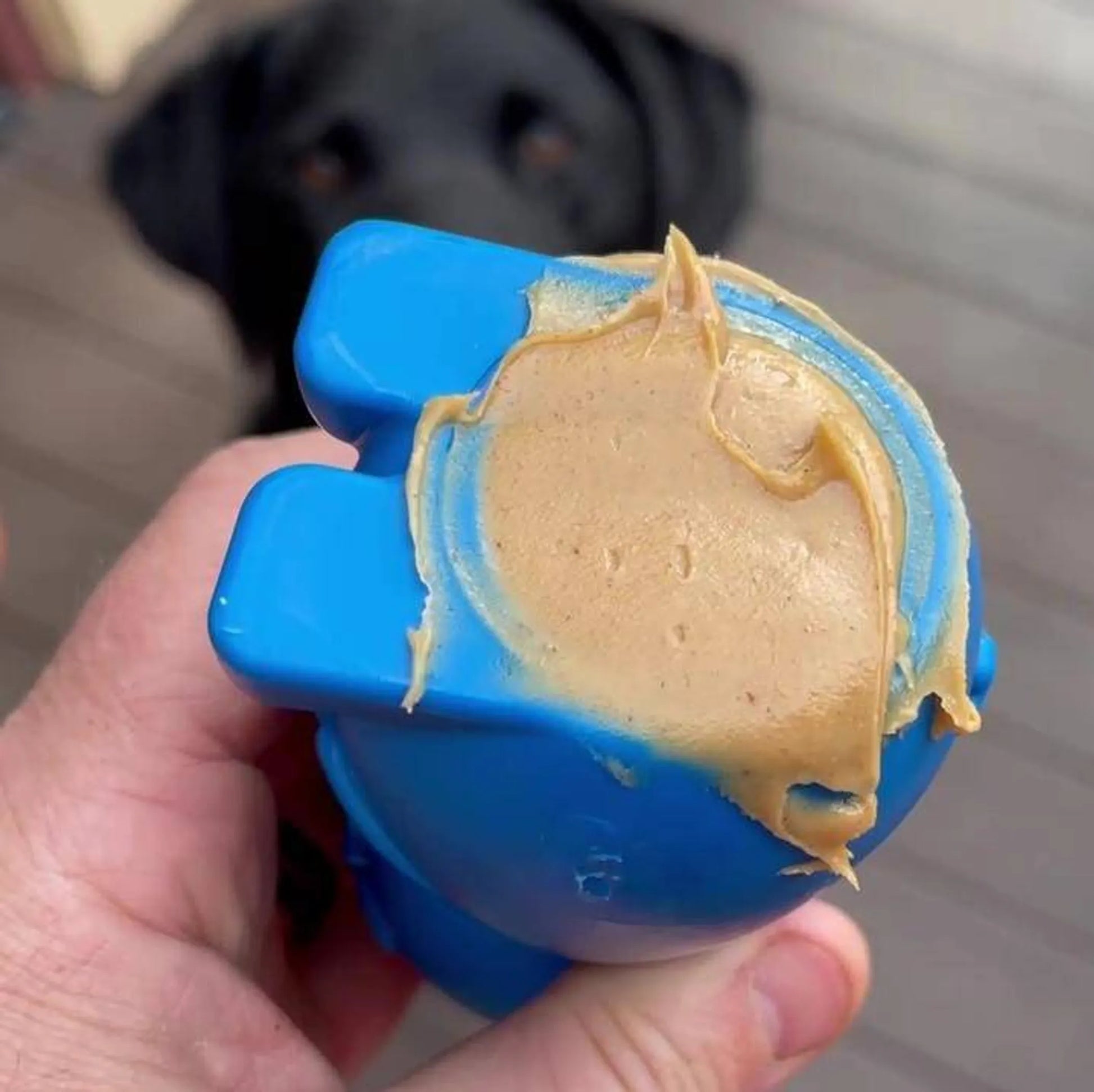 Durable Nylon Bunny Chew Toy and Enrichment Toy for Aggressive Chewers - Your Pet Connection