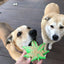 MKB Colorado Maple Leaf Durable Nylon Dog Chew Toy for Aggressive Chewers - Your Pet Connection