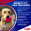 MKB Surf's Up! Retro Van  Durable Chew Toy & Treat Dispenser - Your Pet Connection