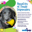 Honey Bear Treat Dispenser - Your Pet Connection