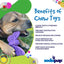 SodaPup Butterfly Chew Toy for Power Chewers