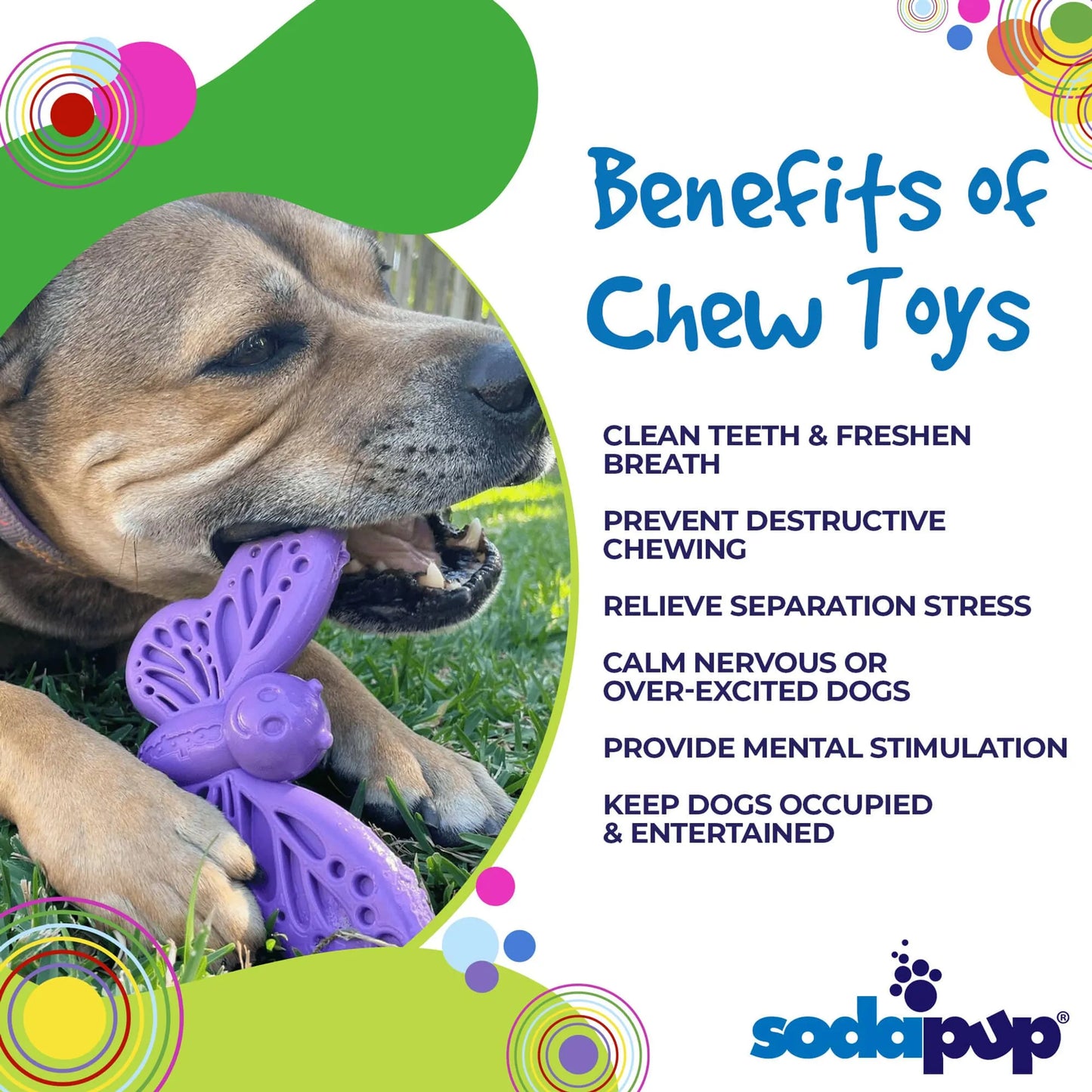 SodaPup Butterfly Chew Toy for Power Chewers
