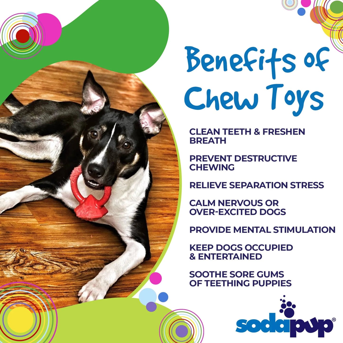 SodaPup Ultra-Durable Chew Ring for Dogs