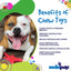 SP Electric Guitar Ultra Durable Nylon Dog Chew Toy for Aggressive Chewers - Your Pet Connection
