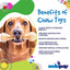 SP Honey Bone Ultra Durable Nylon Dog Chew Toy for Aggressive Chewers - Your Pet Connection