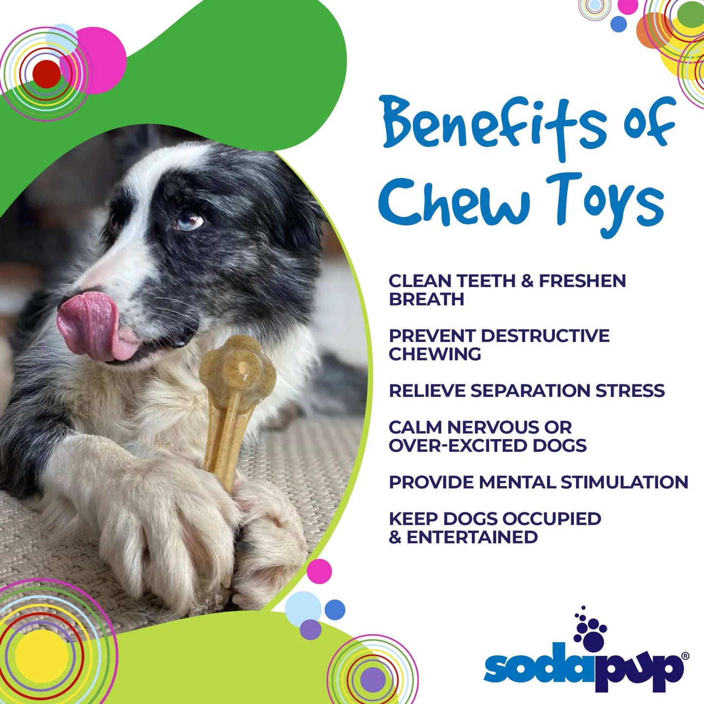 SodaPup XL Aggressive Chewer Dog Toy