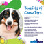 SP MOD Bone Ultra Durable Nylon Dog Chew Toy for Aggressive Chewers - Your Pet Connection