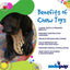 SP Peanut Ultra Durable Nylon Dog Chew Toy for Aggressive Chewers - Your Pet Connection
