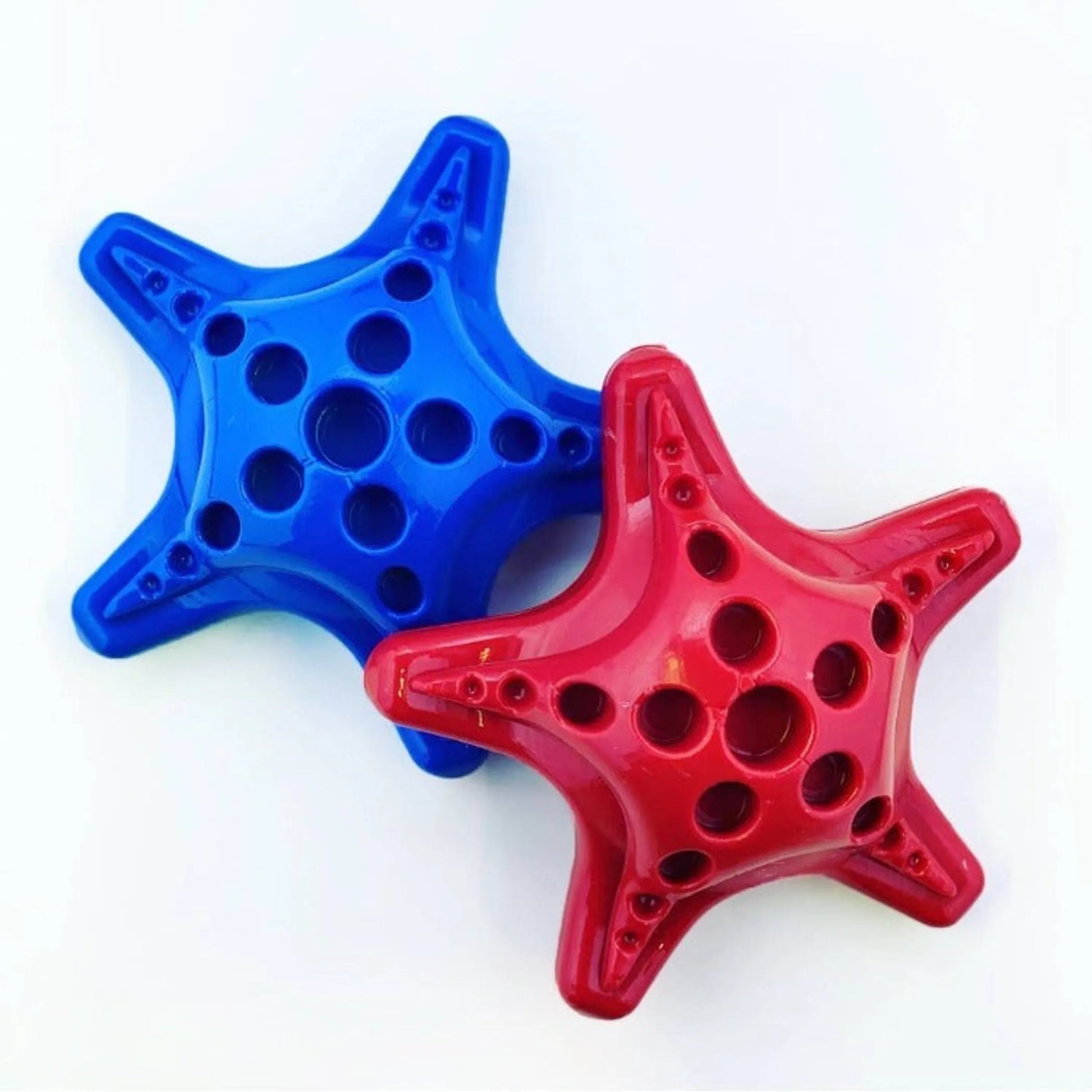 Starfish Ultra Durable Nylon Dog Chew Toy for Aggressive Chewers - Your Pet Connection