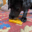 SP Swiss Cheese Wedge Durable Nylon Dog Chew Toy for Aggressive Chewers - Your Pet Connection